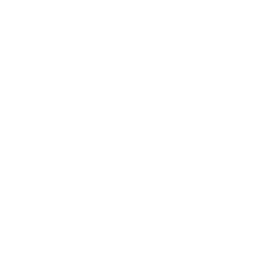 Banknotes and calculator